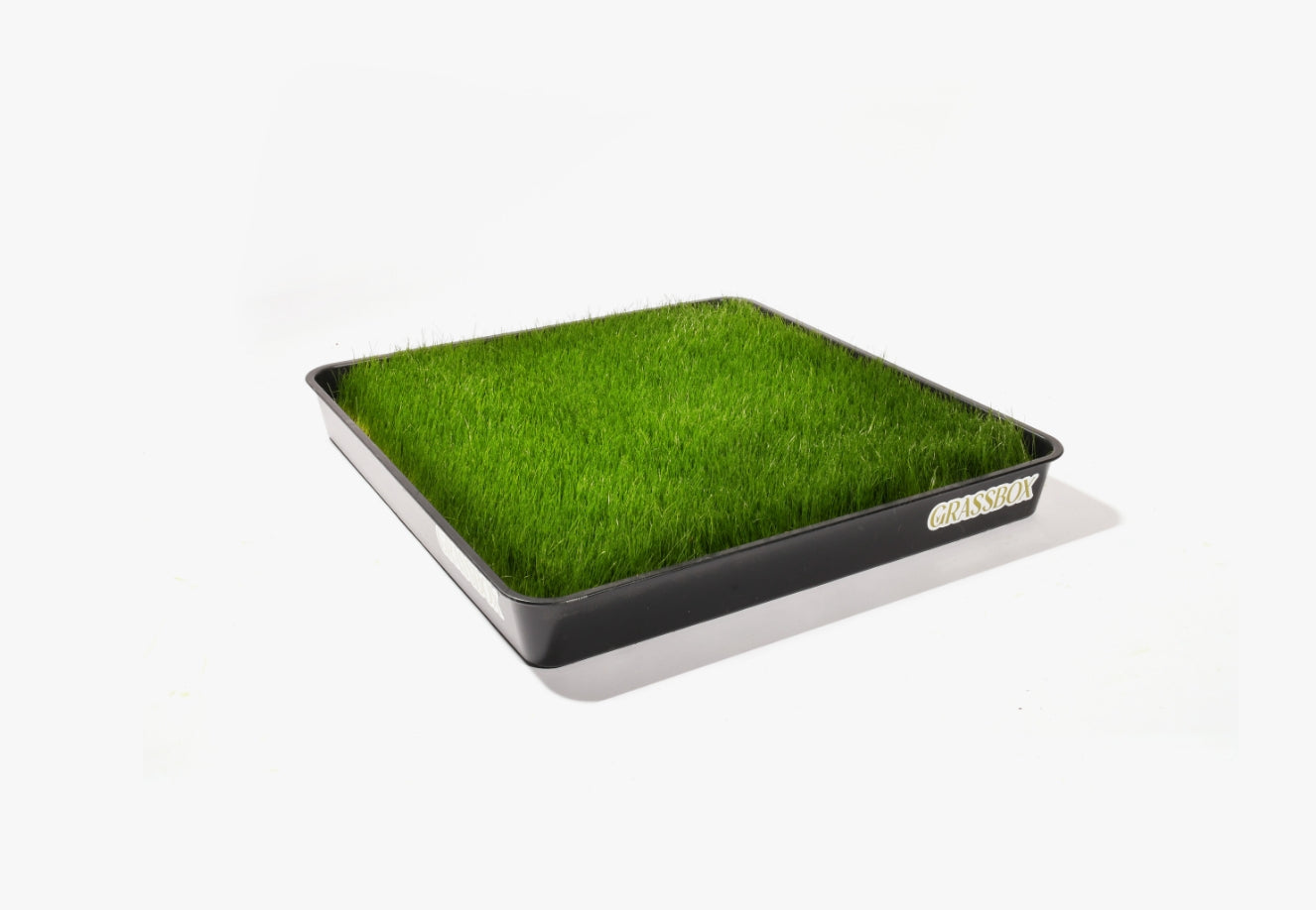 Optional Reusable Tray